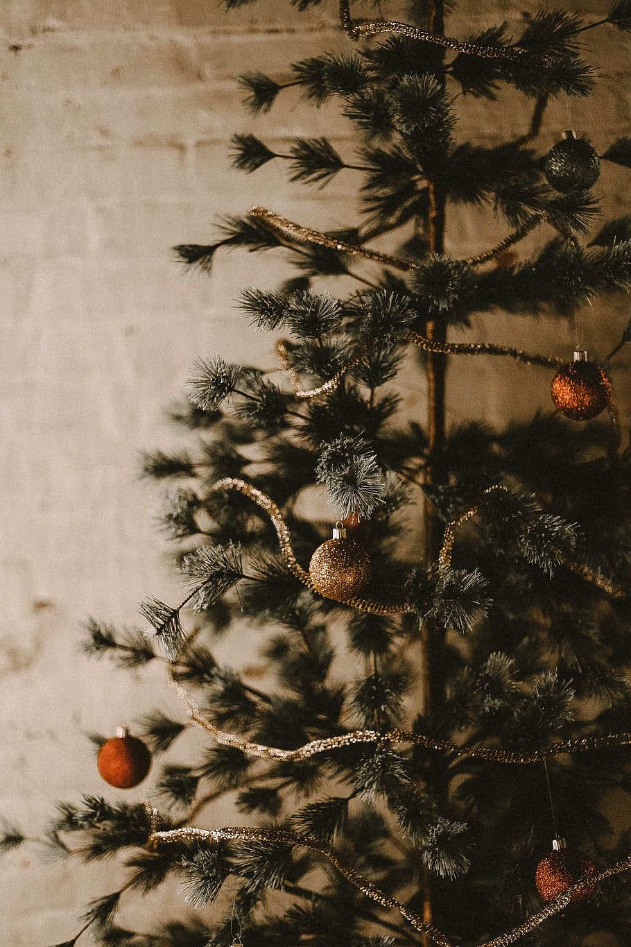 Christmas tree, ornament, plant, abies, fir, pine, winter, conifer HD wallpaper