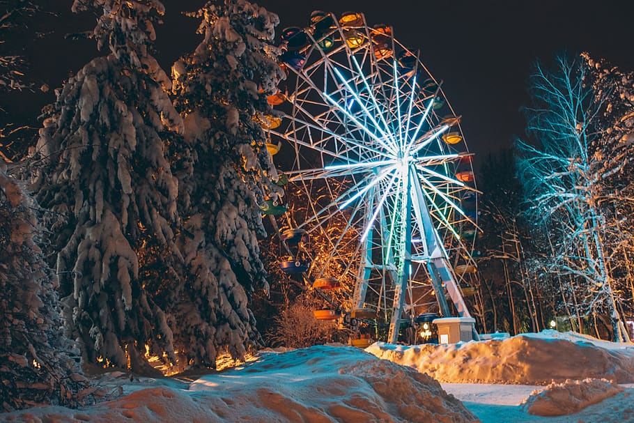ferris wheel beside trees at night, plant, amusement park, outdoors HD wallpaper