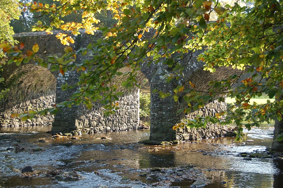 antrim, castle, grounds, tree, water, plant, architecture, nature HD wallpaper