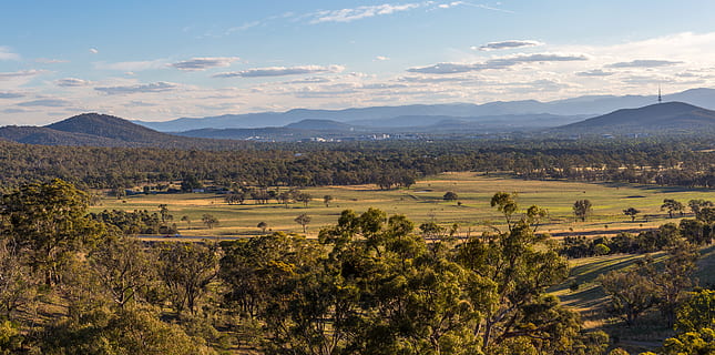 canberra, australia, trees, mountains, forest, landscape, bush HD wallpaper