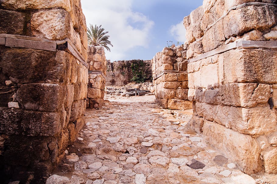 architecture, ancient, ancient civilization, history, the past HD wallpaper