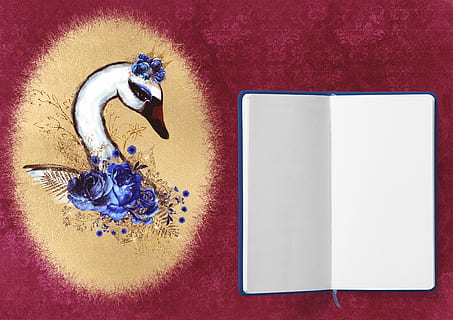 diary, swan, roses, frame, flowers, background, blue, gold HD wallpaper