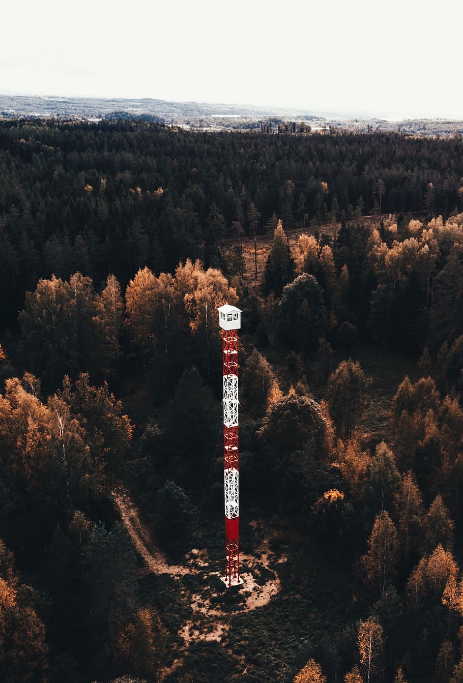 white and red tower surrounded by trees, forest, fall, autumn HD wallpaper