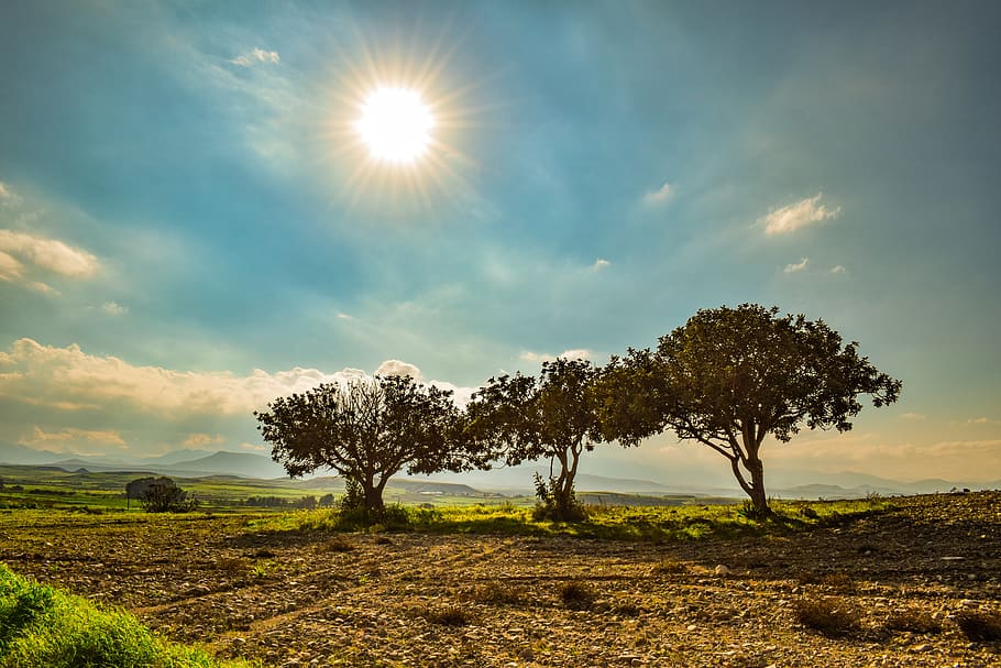 trees, landscape, nature, sky, clouds, scenery, countryside HD wallpaper