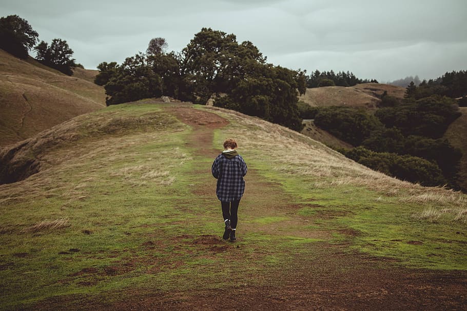 person walking on green grass, field, grassland, outdoors, human HD wallpaper