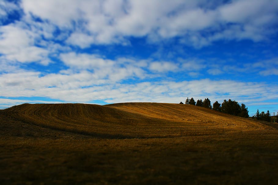 sky, cloud - sky, tranquil scene, environment, landscape, tranquility HD wallpaper
