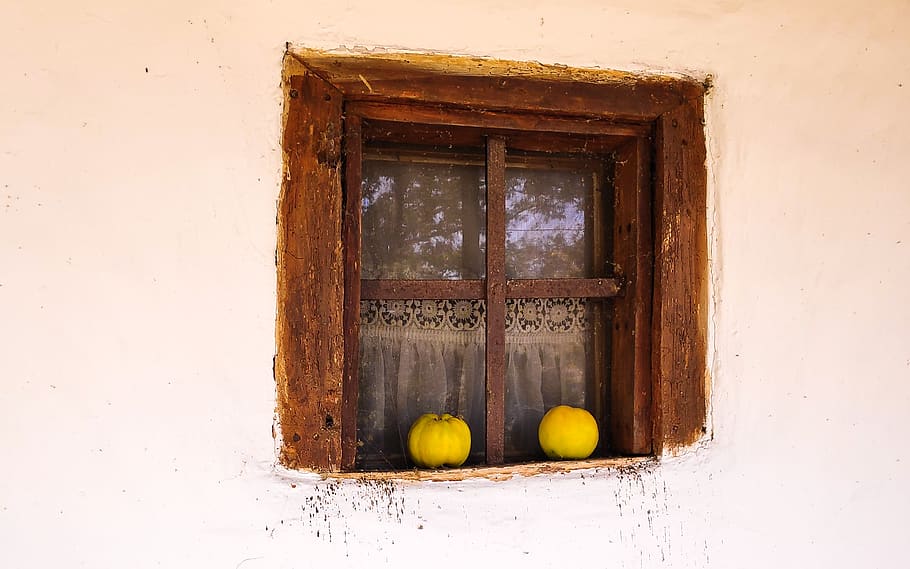 two yellow squashes on window, fruit, доњи милановац HD wallpaper