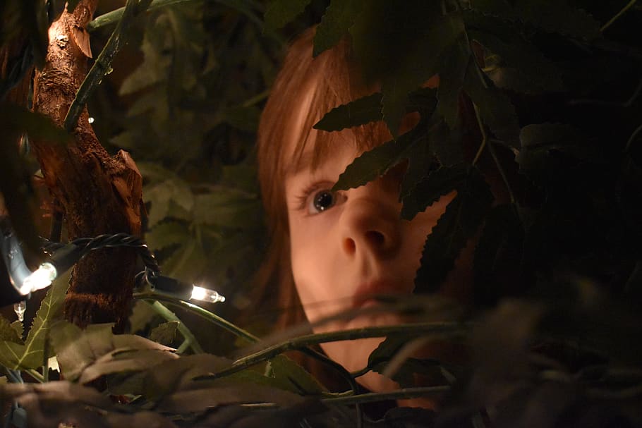lights, tree, girl, headshot, portrait, child, childhood, one person HD wallpaper