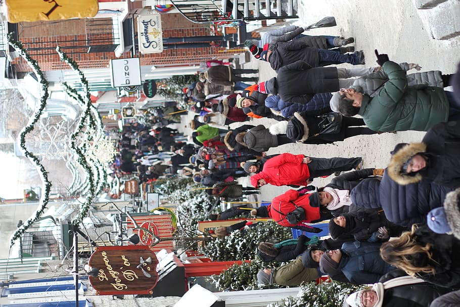 canada, quebec, market, retail, group of people, large group of people HD wallpaper