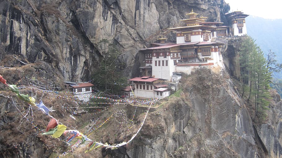 bhutan, taktsang lhakhang, tiger, nest, paro, monastery, palphug, HD wallpaper