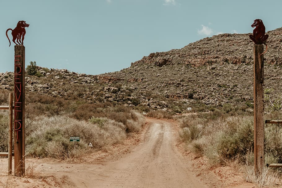 ground, nature, outdoors, road, gravel, dirt road, soil, wilderness HD wallpaper