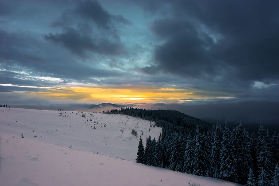 trees with snowfield, cloud - sky, beauty in nature, scenics - nature HD wallpaper