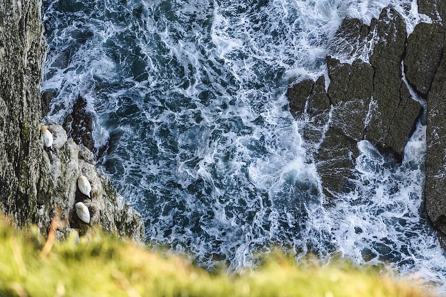 water, sea, outdoors, ocean, nature, rock, grass, cliff, sea waves HD wallpaper
