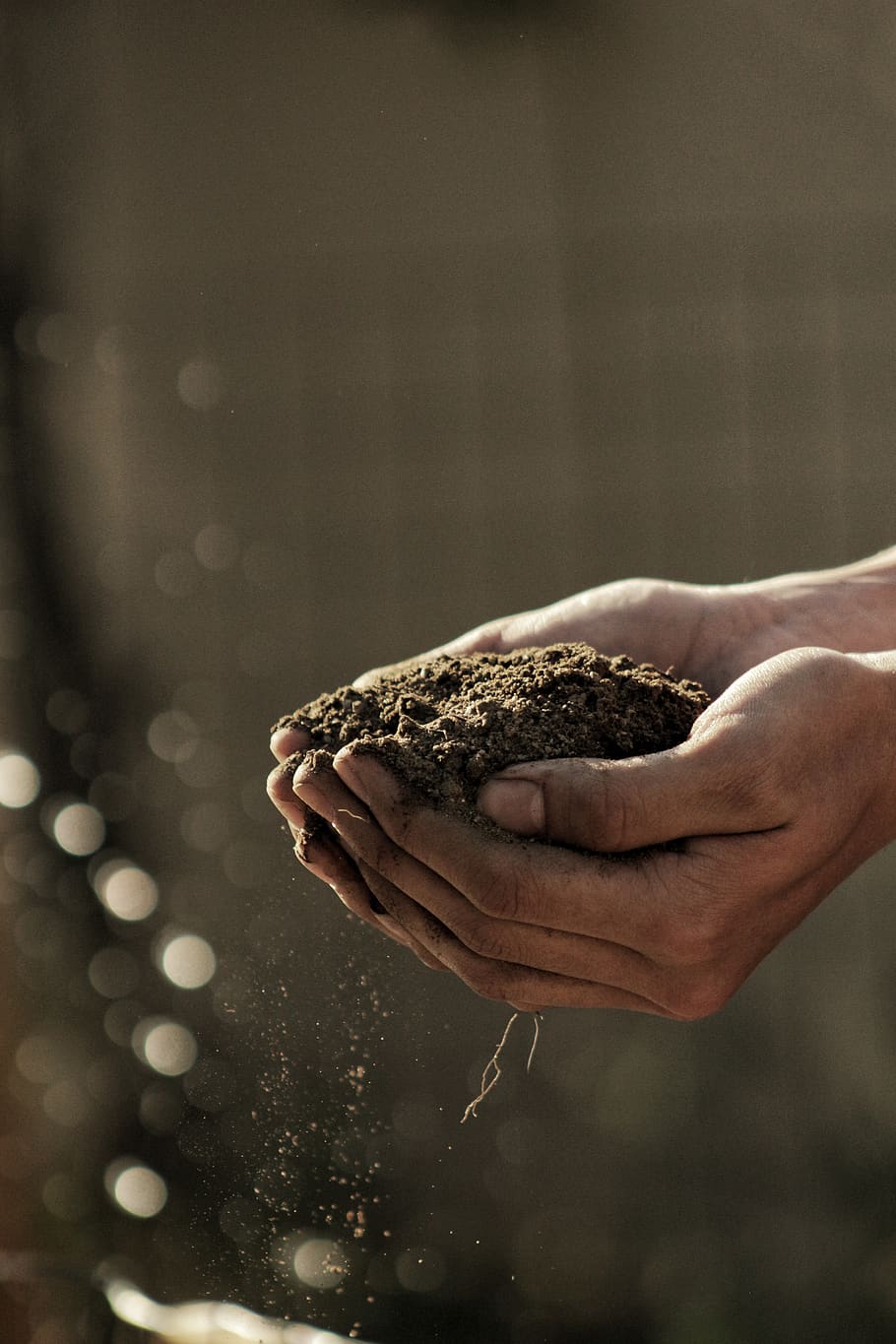 dirty, hand, palm, soil, sand, planting, outdoor, garden, bokeh HD wallpaper
