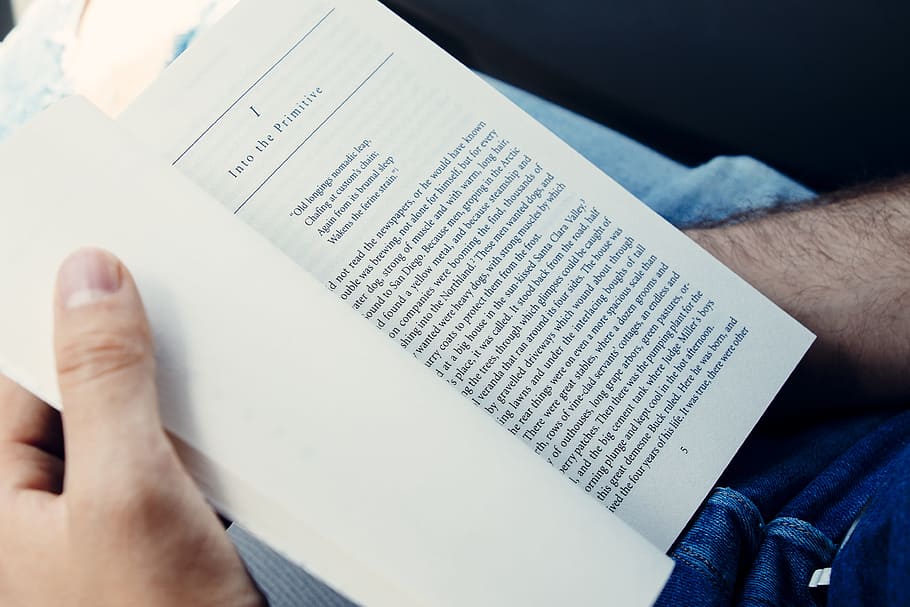 novel, book, paper, read, study, hand, human hand, human body part HD wallpaper
