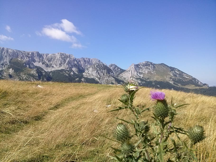 mountains, plant, sky, beauty in nature, tranquil scene, scenics - nature HD wallpaper