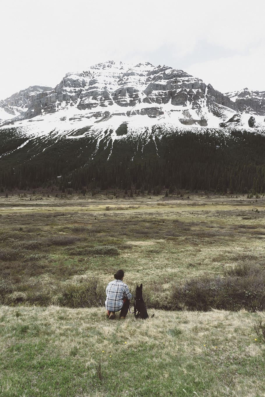 people, man, alone, green, grass, field, mountain, travel, adventure HD wallpaper