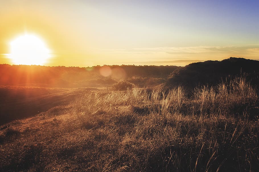 beach, sun, sunrise, sky, tranquility, beauty in nature, tranquil scene HD wallpaper