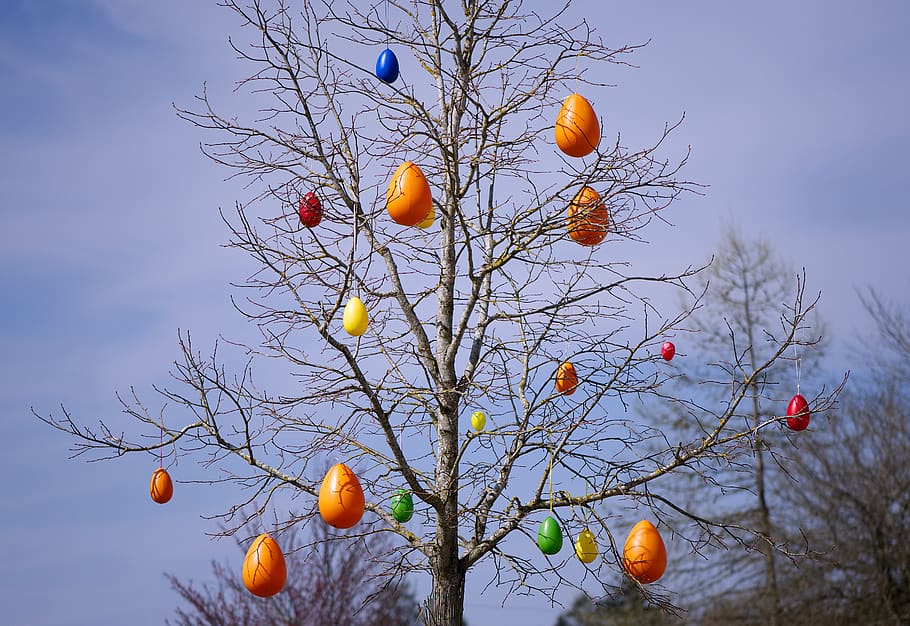 tree, easter eggs, colorful, spring, easter decorations, easter theme HD wallpaper
