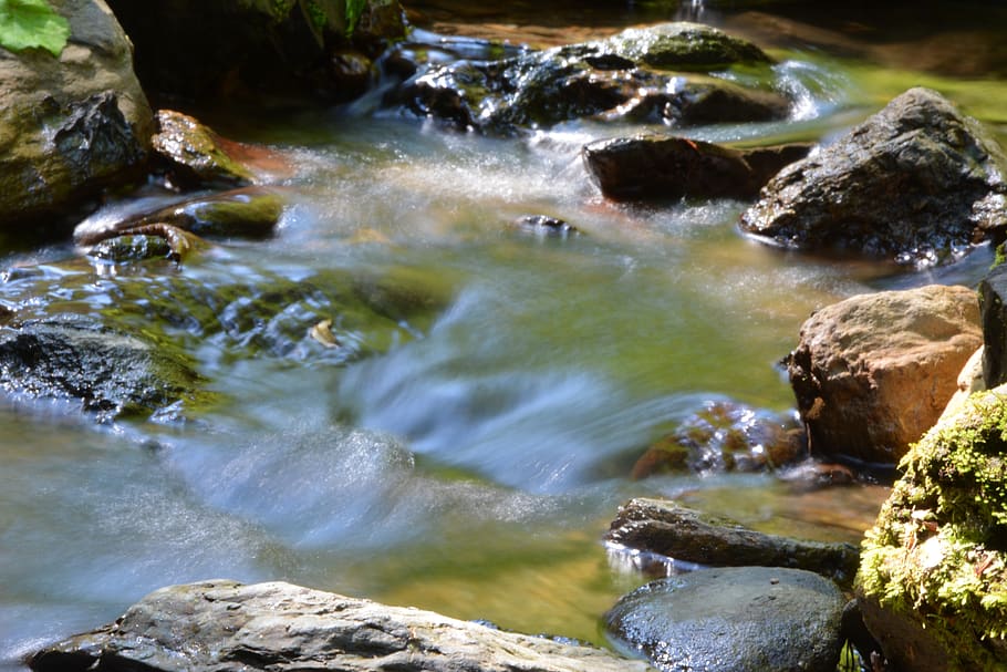 water, bach, river, rock, solid, rock - object, beauty in nature HD wallpaper