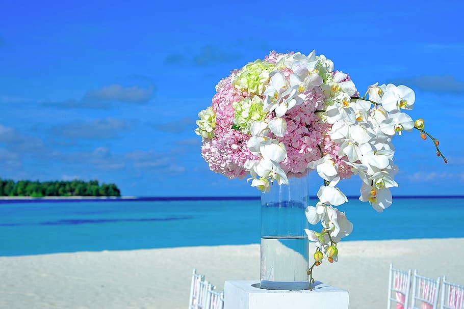 White and Pink Flowers, beach, bouquet, bright, chairs, clouds