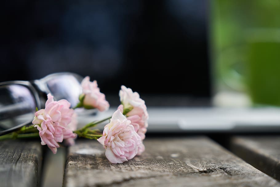 flower, eyewear, laptop, computer, technology, rose, romantic, HD wallpaper