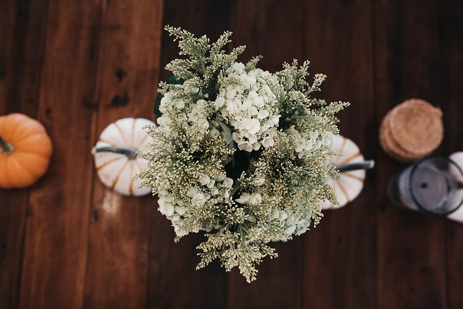 white and green plant tabletop decor on brown wooden surface HD wallpaper