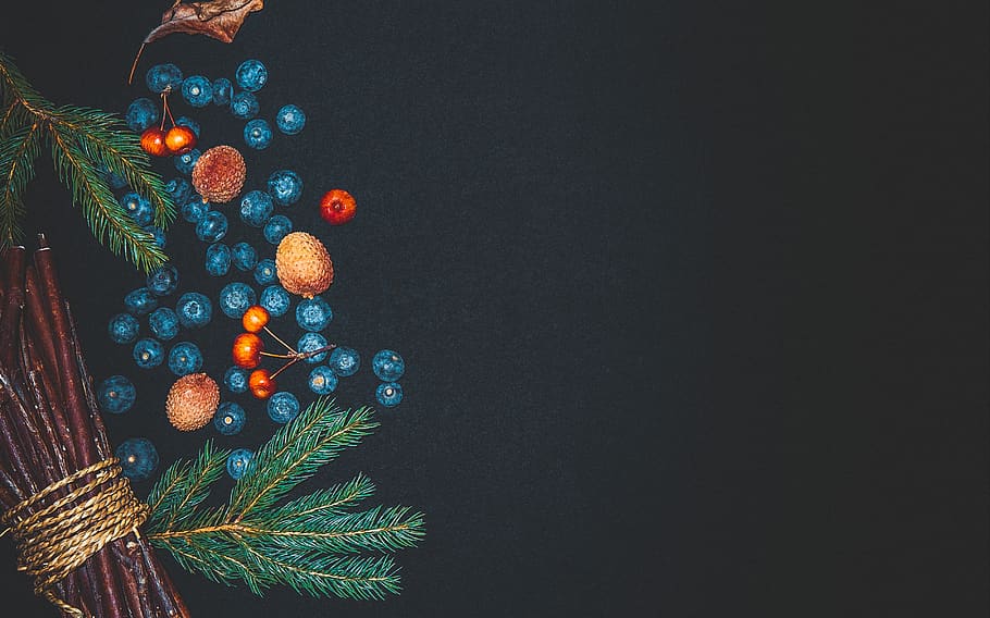 blueberry, fruit, cherry, leaf, green, pine, cone, dark, decoration HD wallpaper
