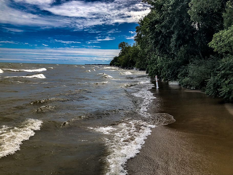Photography of Sea Waves Near Trees, beach, landscape, nature HD wallpaper