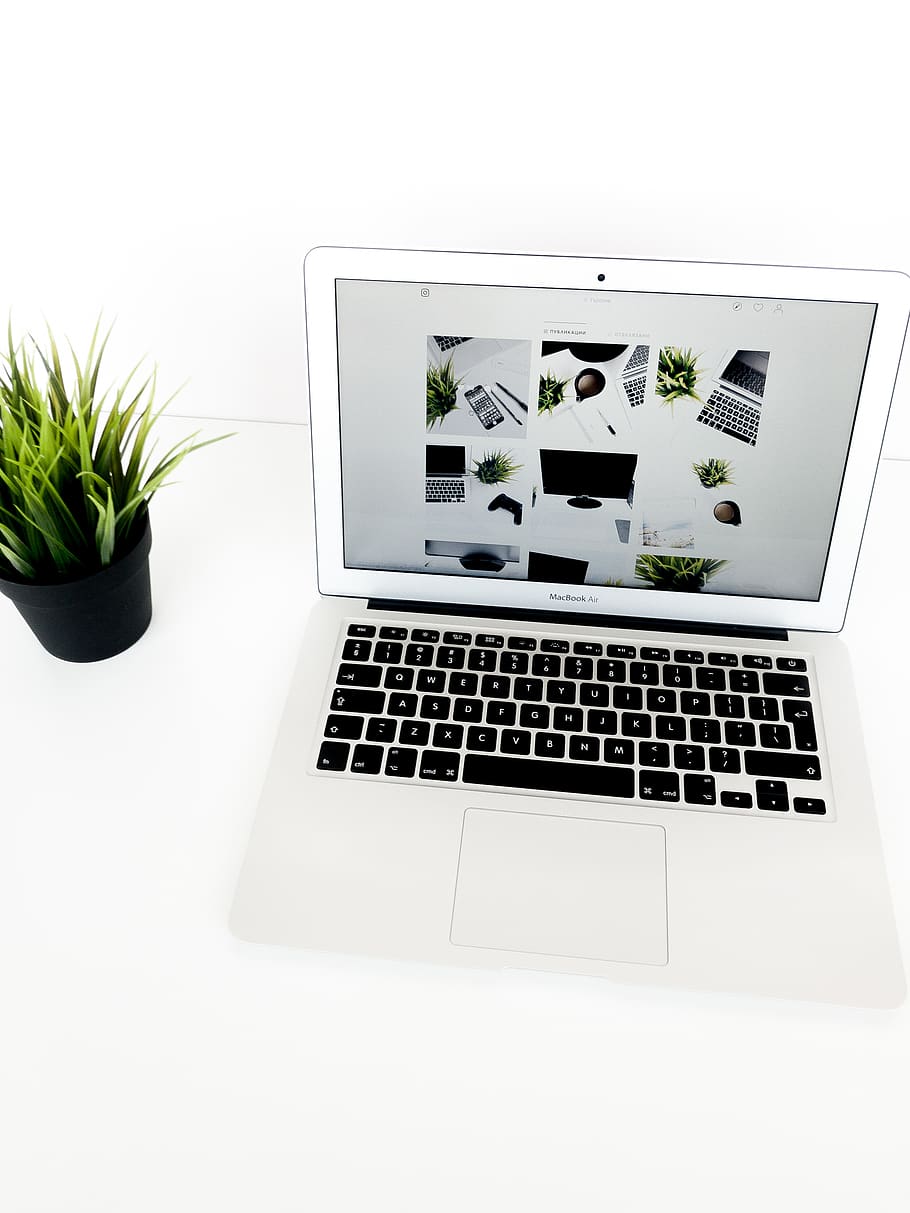 MacBook Air, laptop, technology, computer, plant, communication HD wallpaper