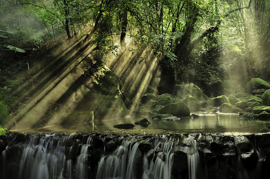 Scenic View of Rainforest, beautiful, boulders, cascade, environment, HD wallpaper