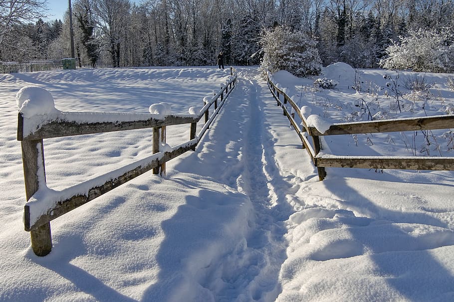 fence, winter, wintry, white, snowy, nature, landscape, cold temperature HD wallpaper