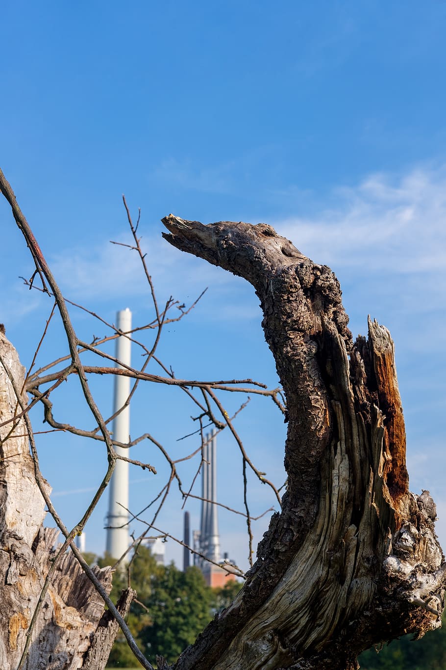 environment, tree, death, pollution, industry, industrial plant HD wallpaper