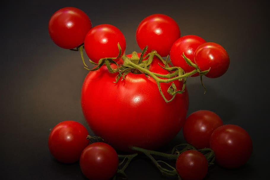 tomatoes, red, green, stalk, macro, close up, vegetables, food HD wallpaper