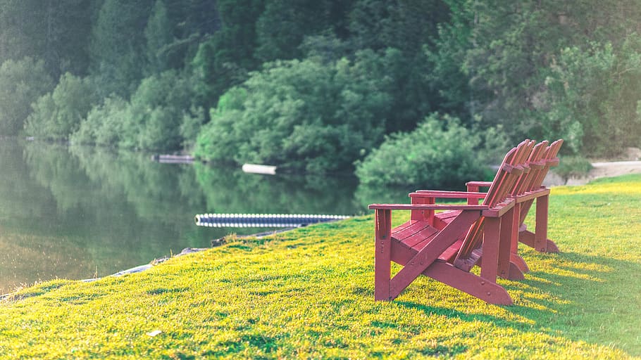united states, hume lake, seat, chair, wood, green, bench, plant, HD wallpaper