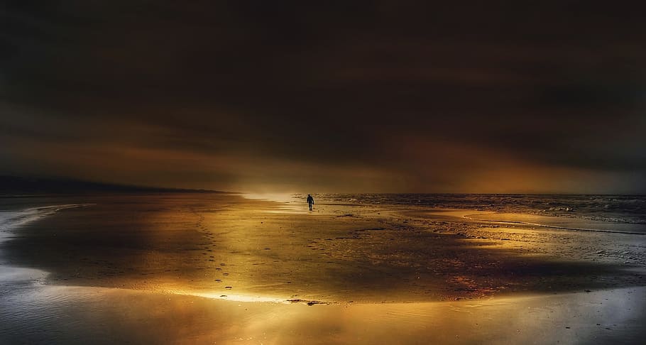 alone, human, activity, beach, shore, seashore, ocean, wave HD wallpaper