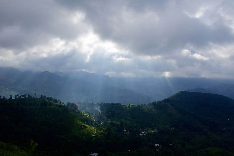 tea, plantations, mountains, sunlight, hills, forest, cloud - sky HD wallpaper