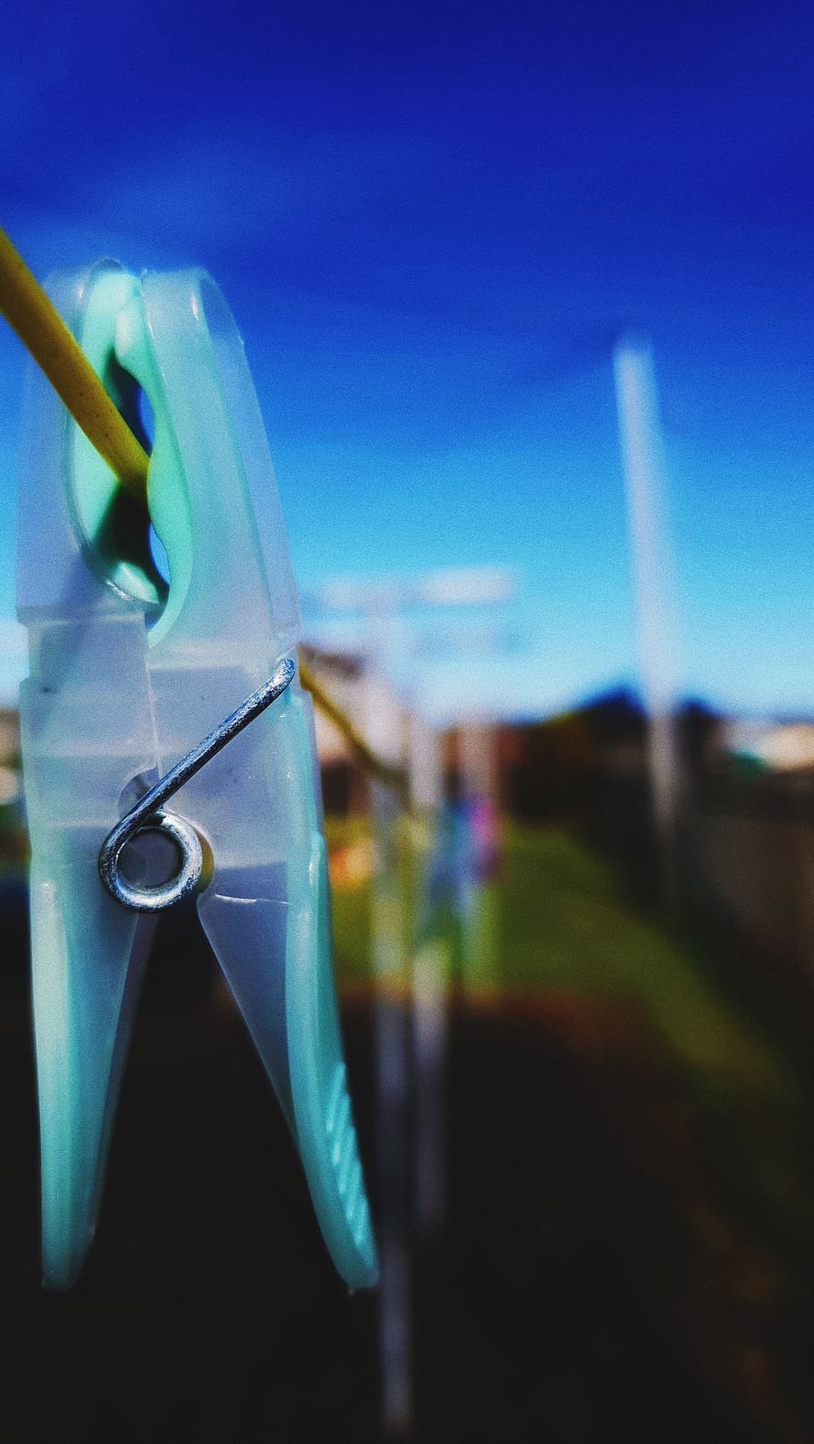 blue, sky, no people, focus on foreground, close-up, nature HD wallpaper