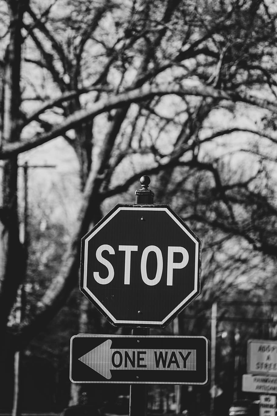 20000 Free Sign  Stop Images  Pixabay