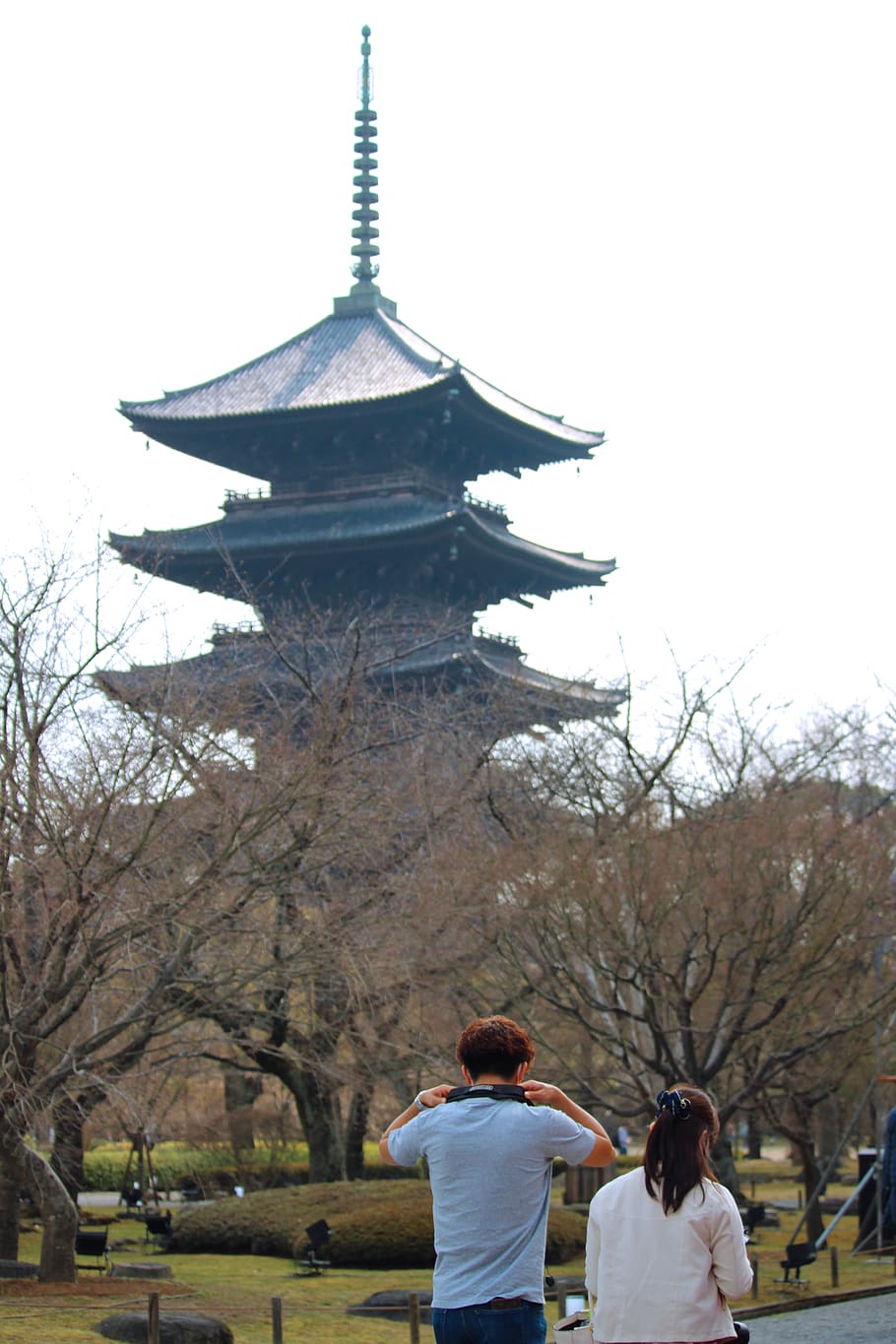 japan, toji, kyōto-shi, japanese, walking, trees, asian couple, HD wallpaper