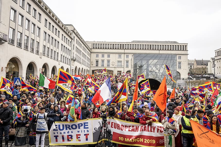 people carrying flags, person, human, crowd, text, belgium, brussels HD wallpaper