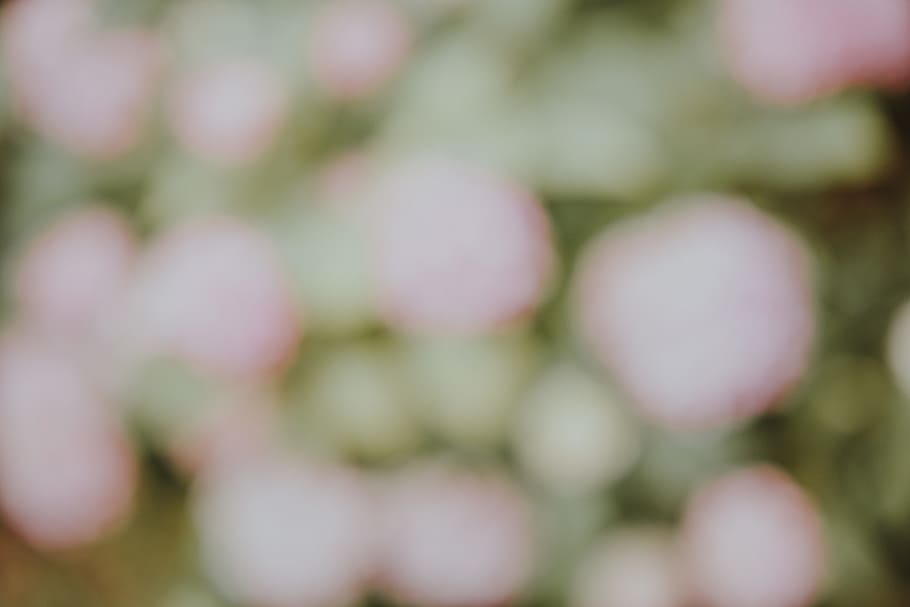 blur, abstract, nature, pastel, green, pink, texture, surface HD wallpaper
