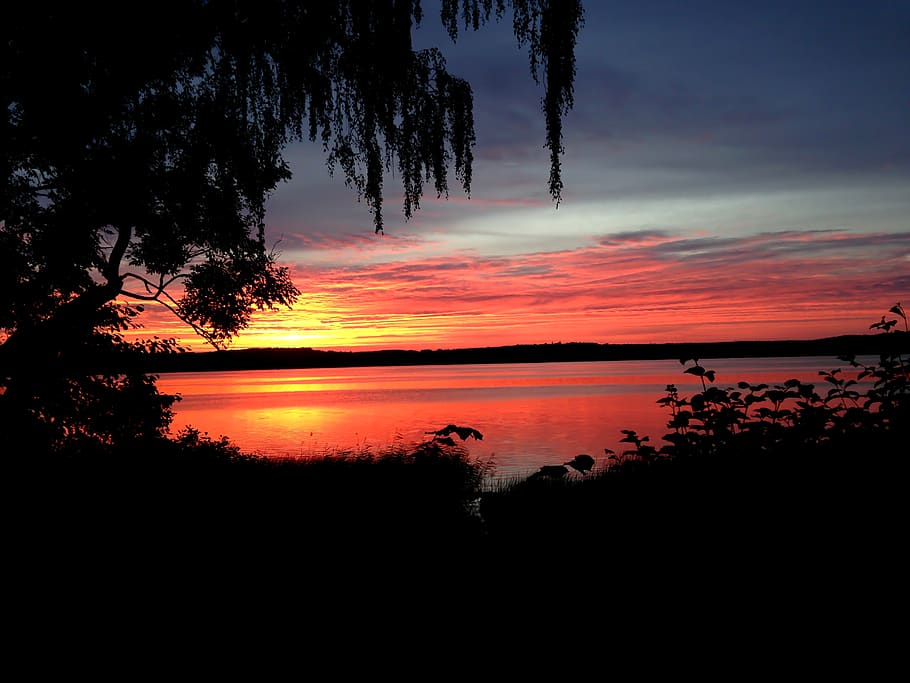 trees, lake, sunset, clouds, sky, beauty in nature, silhouette HD wallpaper