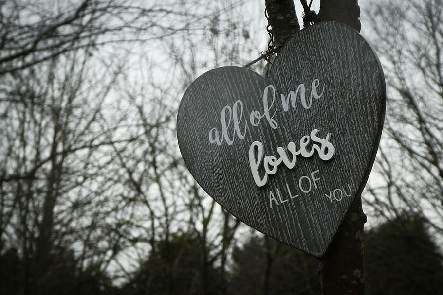 all of me loves all of you heart signage, uk, bournemouth, kingfisher nature reserve, HD wallpaper