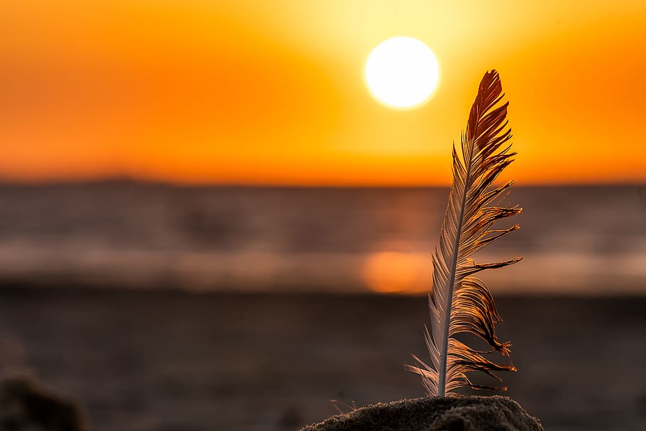 nature, sunset, sky, landscape, evening, water, dusk, abendstimmung HD wallpaper