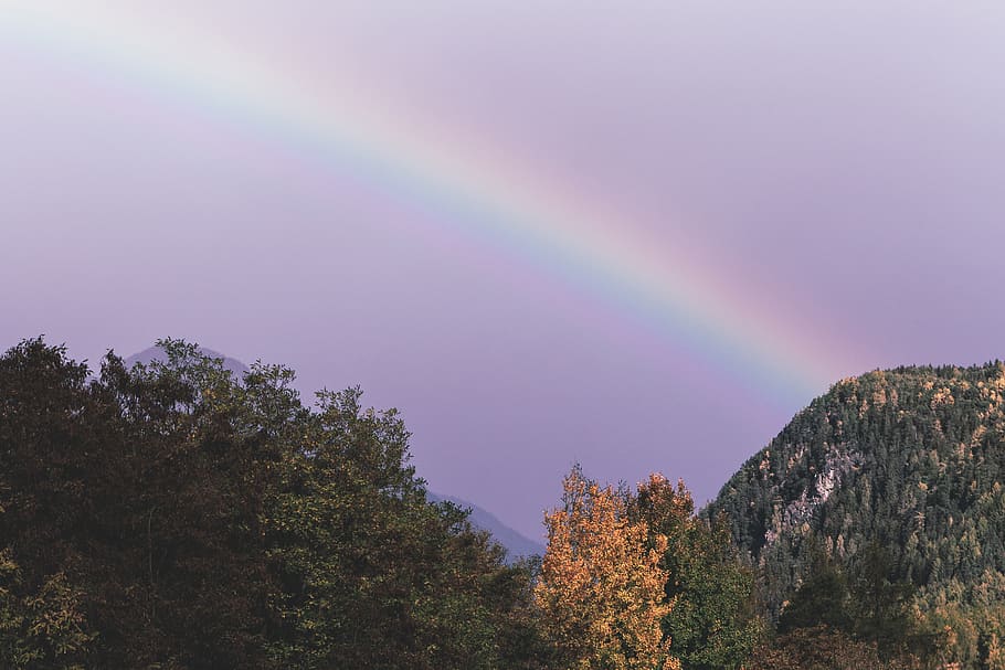 Green Mountain Under Rainbow, daylight, landscape, nature, scenic HD wallpaper