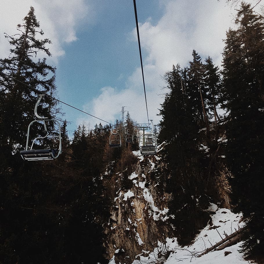 cable carts during daytime, plant, tree, abies, fir, conifer HD wallpaper