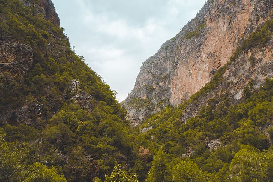 Green Trees on Rock Formation Mountain, cliffs, daylight, environment HD wallpaper