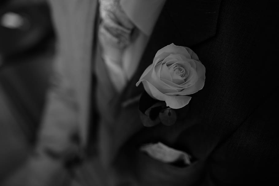 groom, wedding, buttonhole, flower, flowering plant, vulnerability HD wallpaper