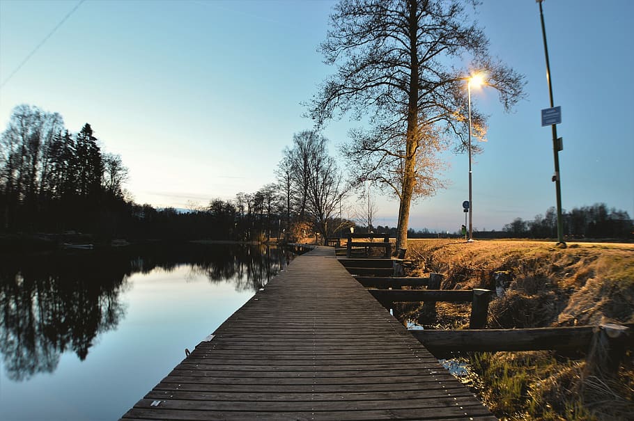 sweden, tree, water, sky, plant, the way forward, lake, tranquility HD wallpaper